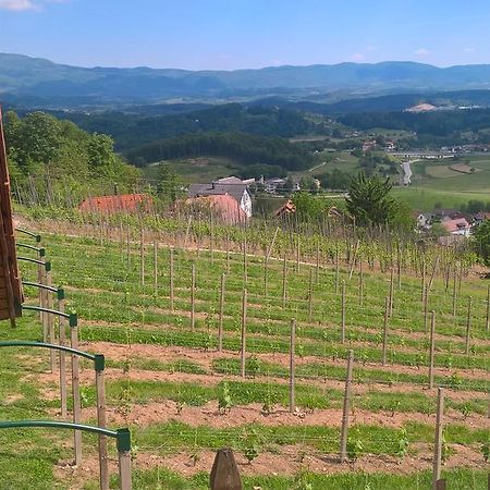 Vineyard Cottage Lustek Novo Mesto Buitenkant foto