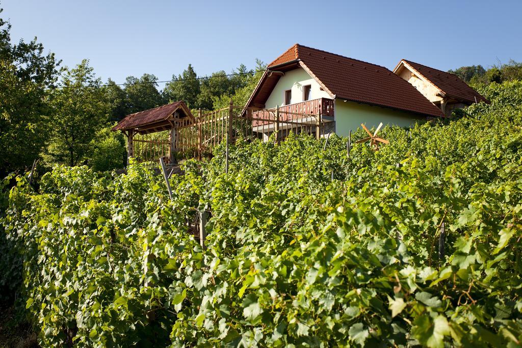 Vineyard Cottage Lustek Novo Mesto Buitenkant foto