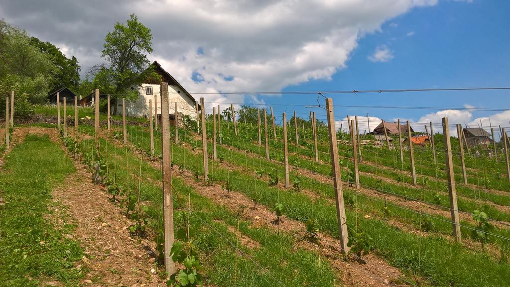 Vineyard Cottage Lustek Novo Mesto Buitenkant foto