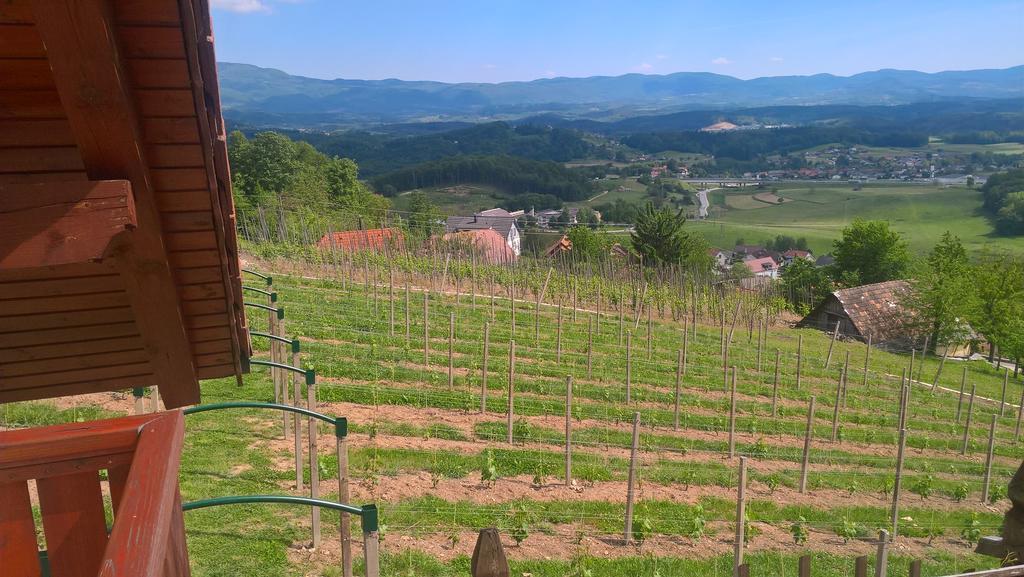 Vineyard Cottage Lustek Novo Mesto Buitenkant foto